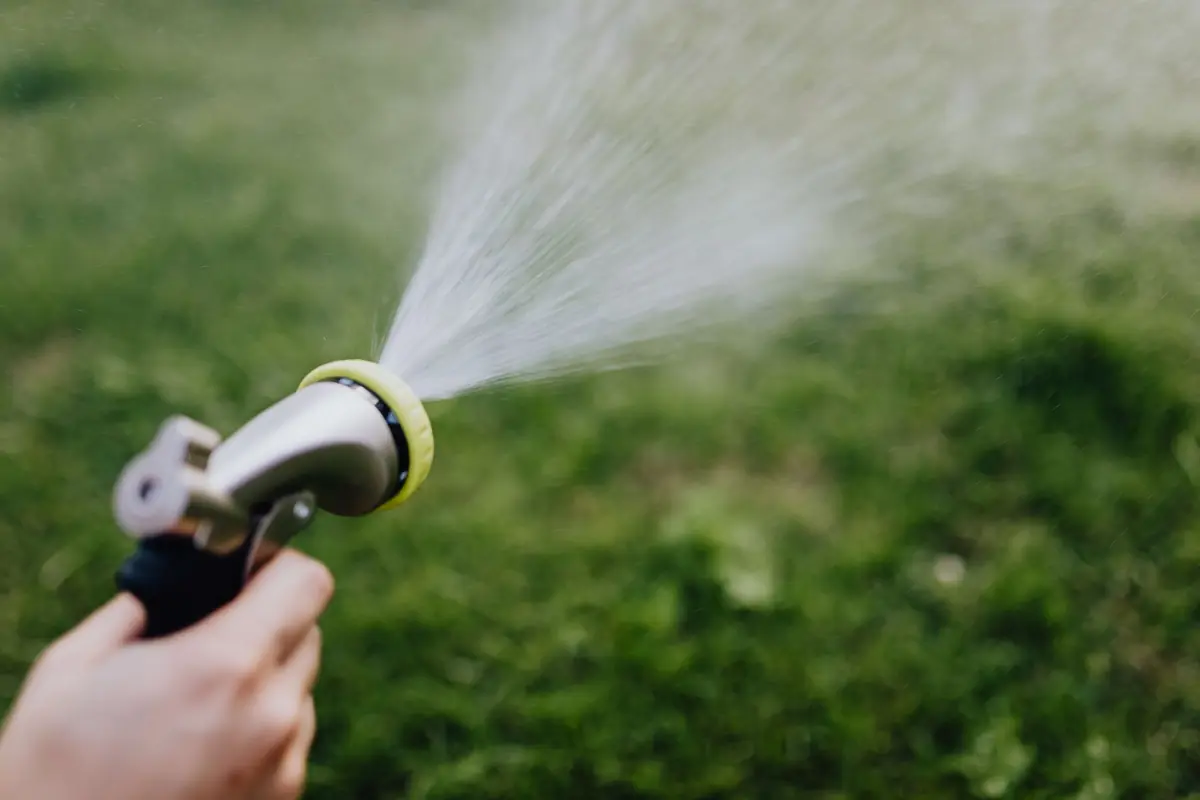 Hose nozzle spraying water over a green lawn