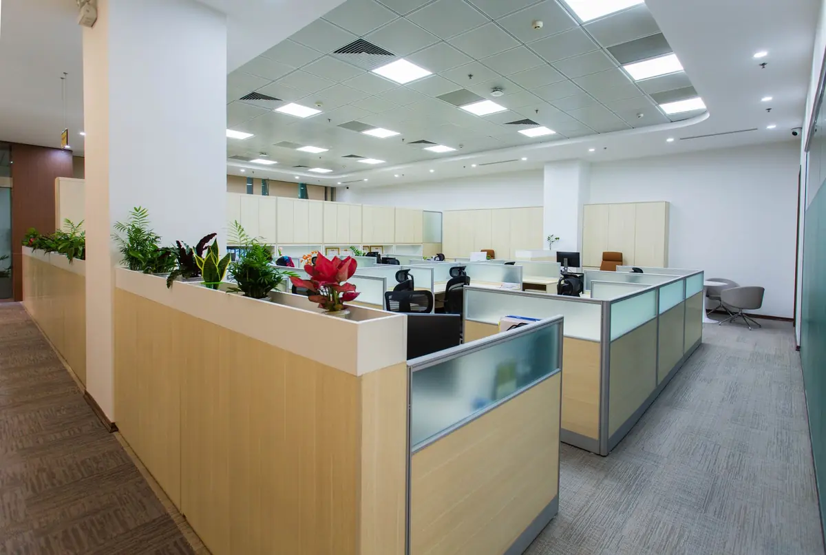 Open-plan commercial office with cubicles and planters